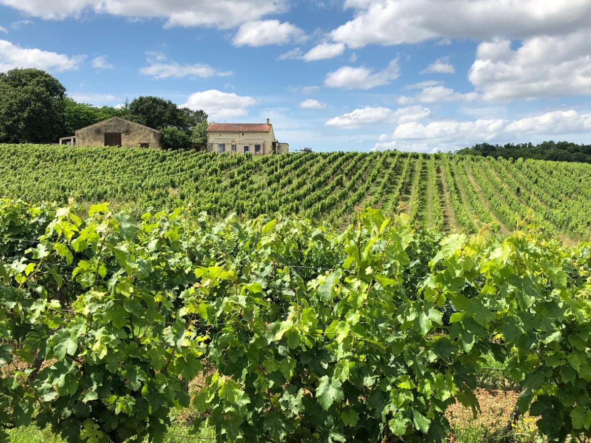 Chateau Le Truch Montussan Exterior photo